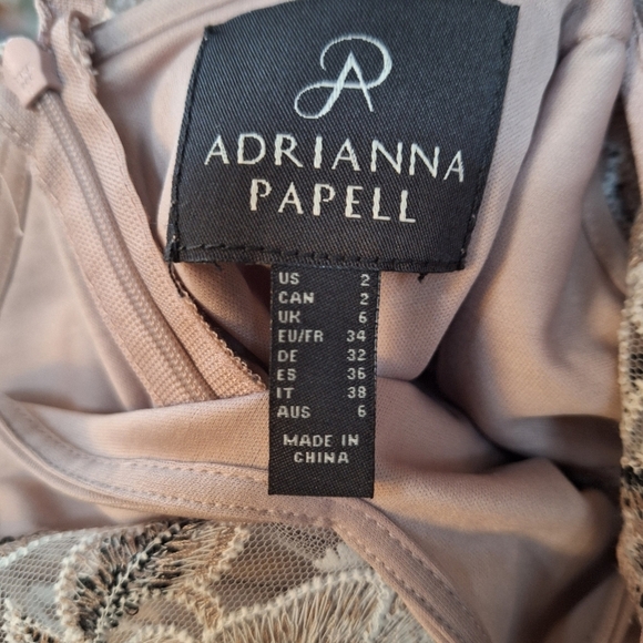 Adrianna Papell Suzette Knee-length Taupe Embroidered Dress Womens Size 2 - Picture 2 of 9